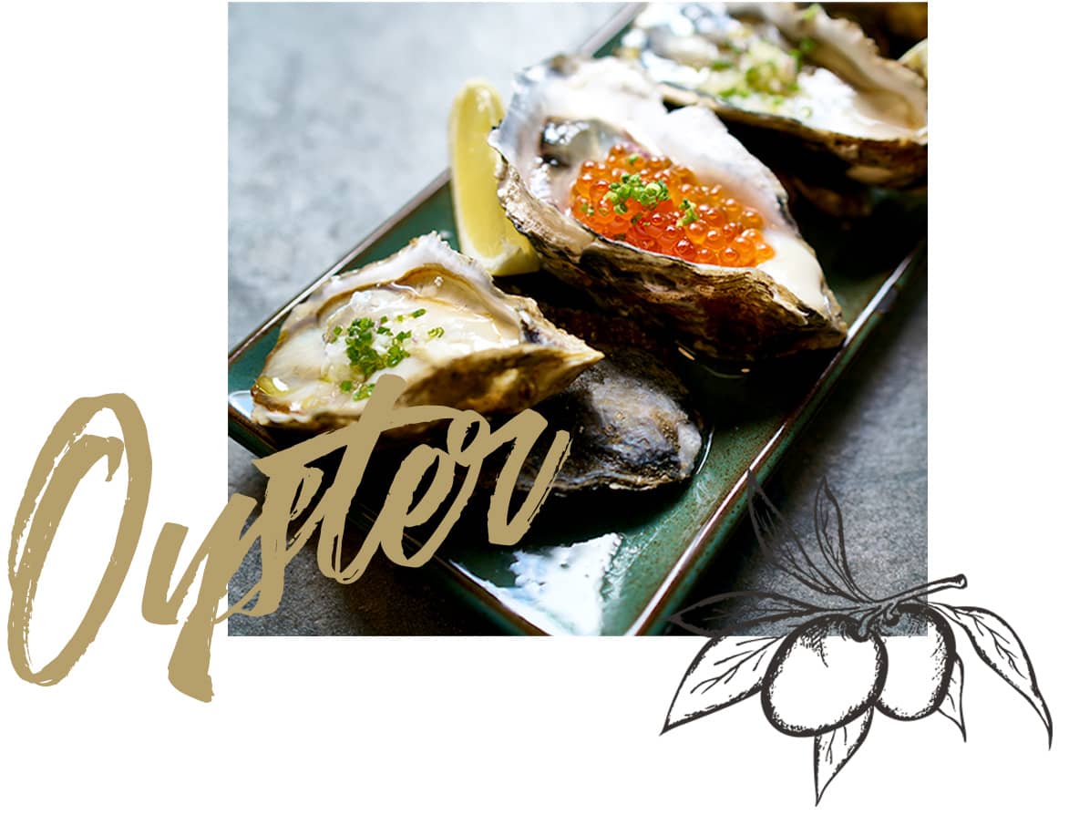 Oyster 3